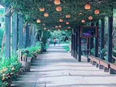 -青青世界