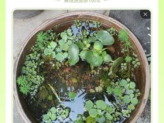 -川匠·睡眠采耳·SPA(九眼桥店)