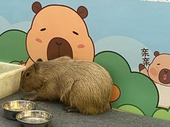 -万达广场(北京槐房店)