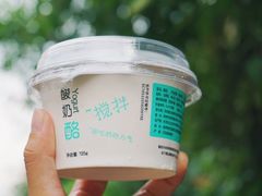 -狐狸家·酸奶酪专门店(平江路店)