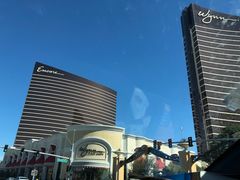 -拉斯维加斯永利酒店