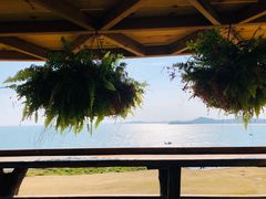 -漳州滨海火山岛自然生态风景区