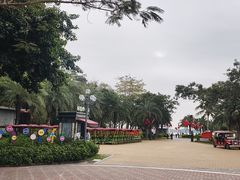 -野狸岛