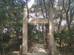 -上海佘山国家森林公园天马山园