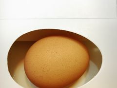 -巴思客蛋糕(交通路店)