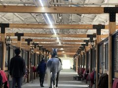 -北京群众马术培训基地