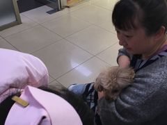-宠颐生中康贝怡动物医院