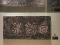 -白鹤梁水下博物馆