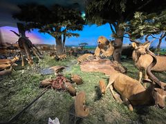 -国家自然博物馆