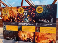 -怀托摩萤火虫洞