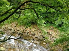-红峡谷