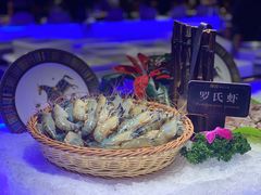 -加餐海鲜自助(宝龙一城店)