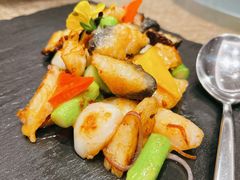 翠绿X酱花枝片-上海宝华喜来登酒店·采悦轩中餐厅