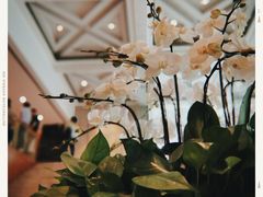 -南京金陵饭店