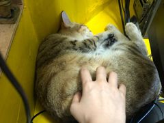 -H立方实景剧情密室(天河旗舰店)