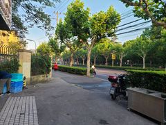 -金杨老摊头蛋饼(金口路店)