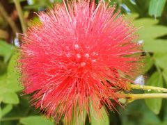 -福建鲤鱼洲酒店