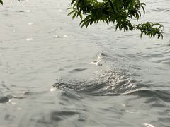 -西湖天地