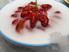 -杨氏青龙虾·羊蝎子(珠江路店)