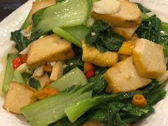 青菜烧豆腐-老韩家清真食府