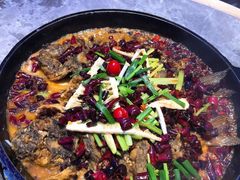 -老板恋上鱼(恒隆广场店)