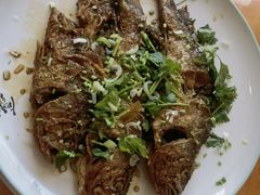 -凤百年大骨鸡饭庄