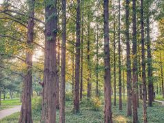 -国家植物园南园