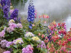 -人民公园(罗湖区)