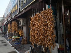 -中环花鸟鱼虫市场