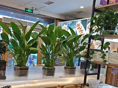 -大清花饺子(山庄店)