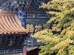 -遵化市禅林寺古银杏风景园