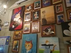 -猫咪博物馆(顶澳仔猫街店)