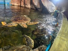 -福州罗源湾海洋世界旅游区