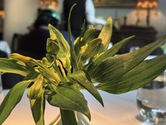 -夏朵花园(复兴西路店)