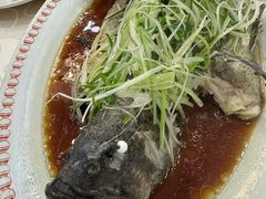 -凤城礼记鱼翅海鲜酒家(新马路总店)