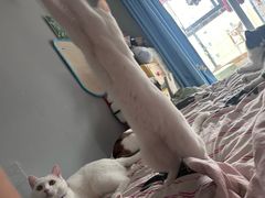 -张翻越·川渝冒菜·武汉黑鸭煲(城北万象城店)