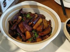 -菩提树·素食餐厅(汇智国际商业中心店)