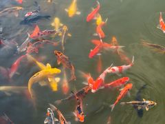 -天下玉苑