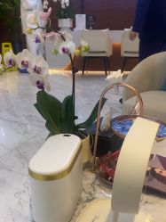 -洁铭新加坡医美