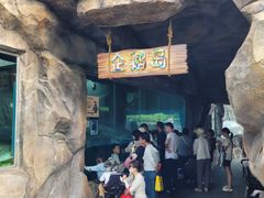 -武汉动物园