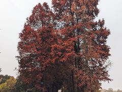 -嘉兴清池酒店温泉