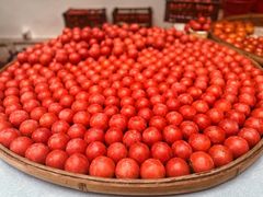 -蒋村酒楼(河渚街店)