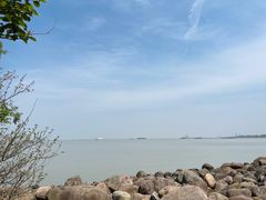 -上海吴淞炮台湾国家湿地公园