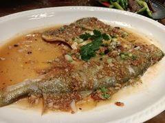 -龙悦湾酒家·八阵鱼生·渔人码头店