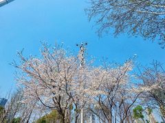 -后襄河公园