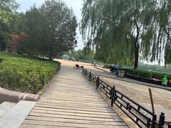 -大兴滨河森林公园