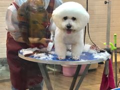 -PETKIT小佩宠物(古北店)