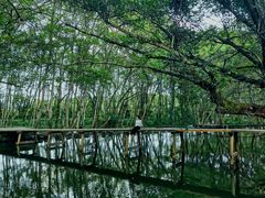 -西溪南古村落景区