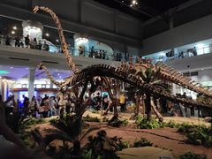 -自贡恐龙博物馆