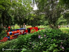 -鹅湖玫瑰文化园